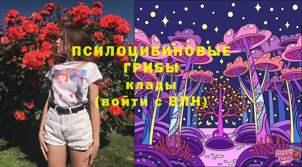 ешки Алзамай