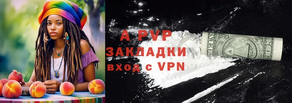 мяу мяу мука Абаза