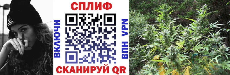 Канабис гибрид  Подпорожье 